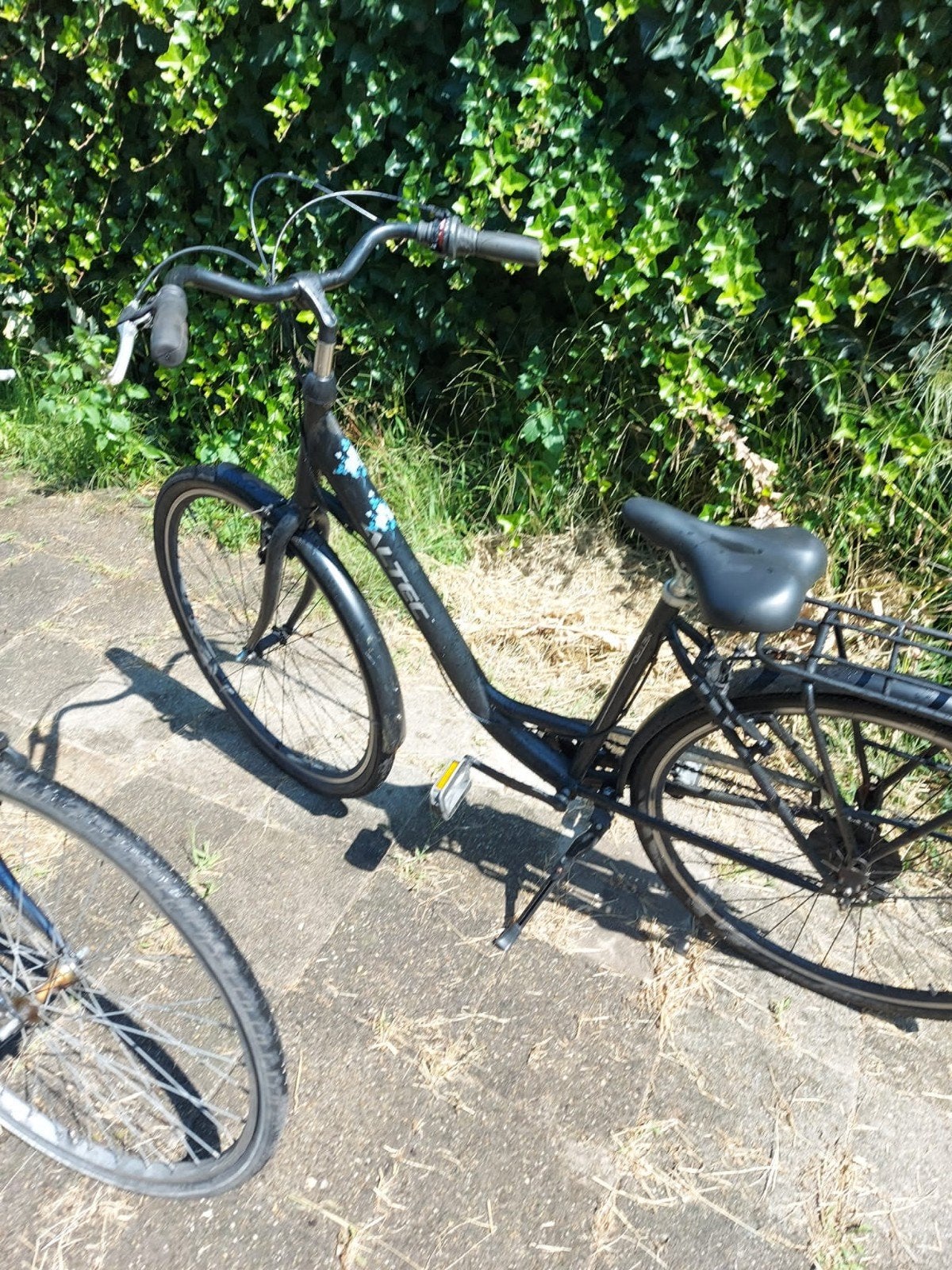 Damesfiets met lage instap en bagagedrager, Fietsen en Brommers, Fietsen | Dames | Damesfietsen, Velgrem, Ophalen, Overige merken