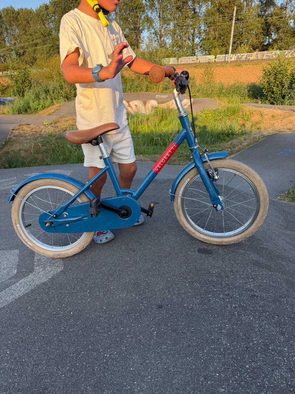 Veloretti Maxi 16 inch kinderfiets, Ophalen of Verzenden, Gebruikt, Velgrem, 16 tot 20 inch