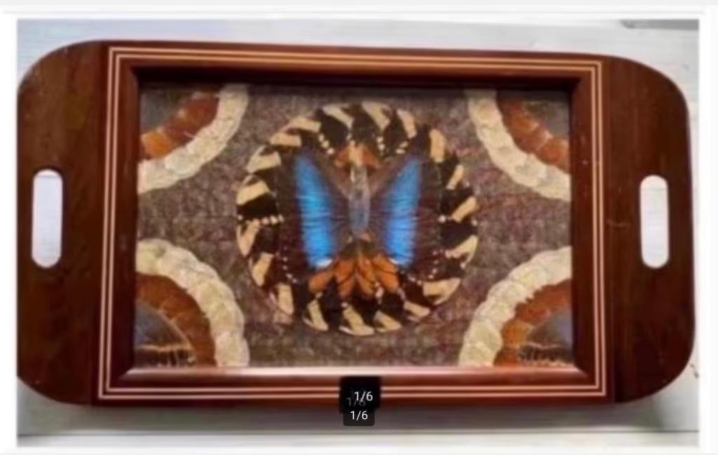 Antiek dienblad vol met echte vlindervleugels 42 x 23 cm, Ophalen of Verzenden