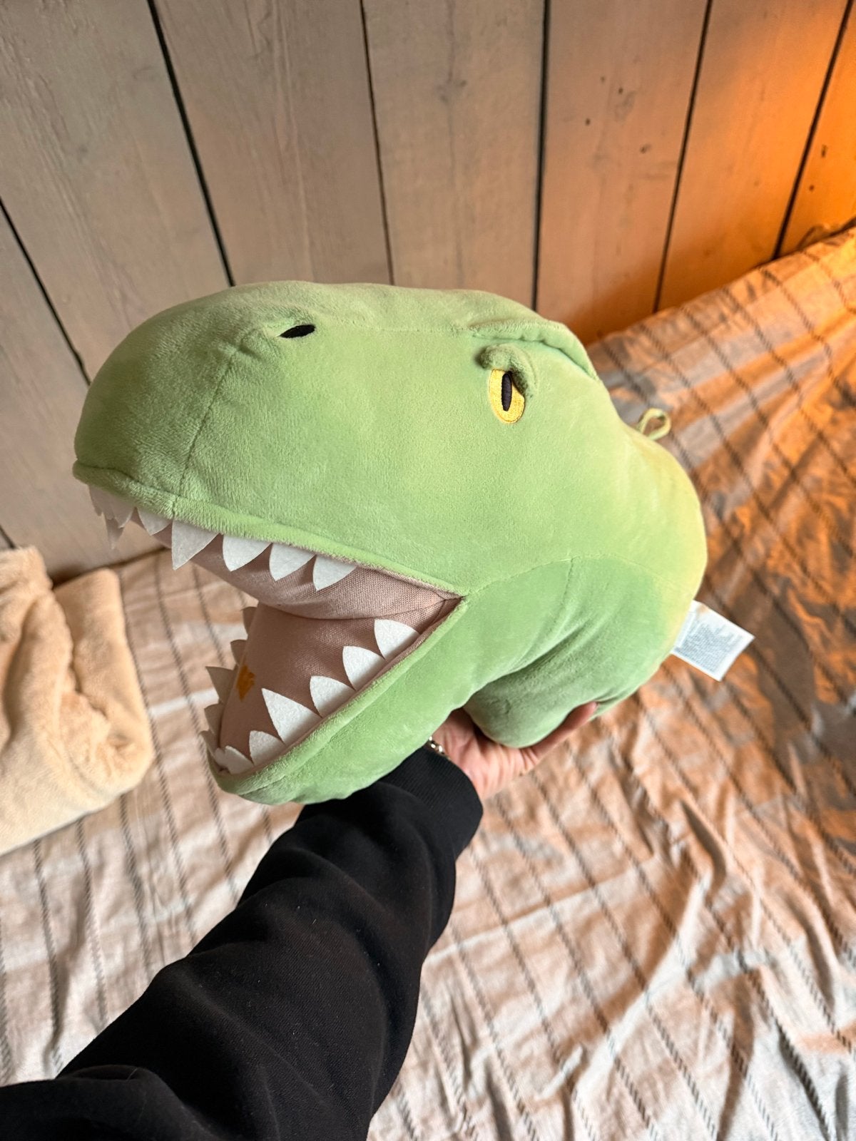 Dinosaurus knuffel - T-Rex hoofd voor aan de muur, Ophalen, Gebruikt, Groen, Dinosaurus