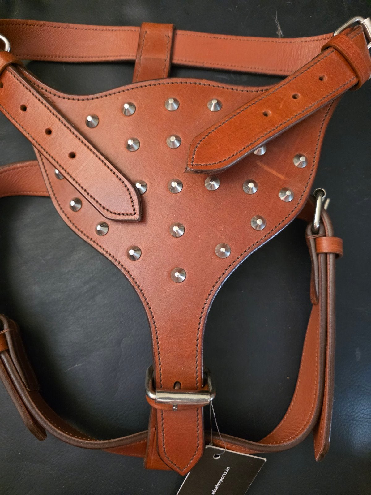 Harness, tuig Hond, Dieren en Toebehoren, Honden-accessoires, Ophalen of Verzenden