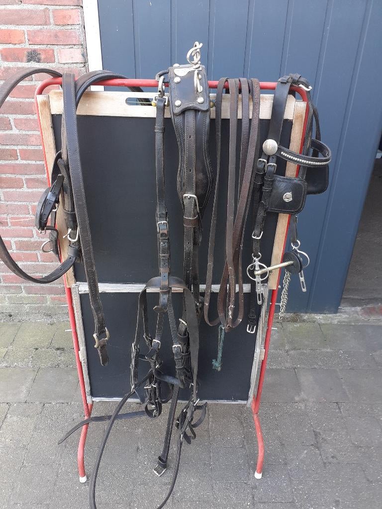 te koop gebruikt enkelspan ponytuig voor pony van 1.4o m, Ophalen of Verzenden, Gebruikt, Overige soorten