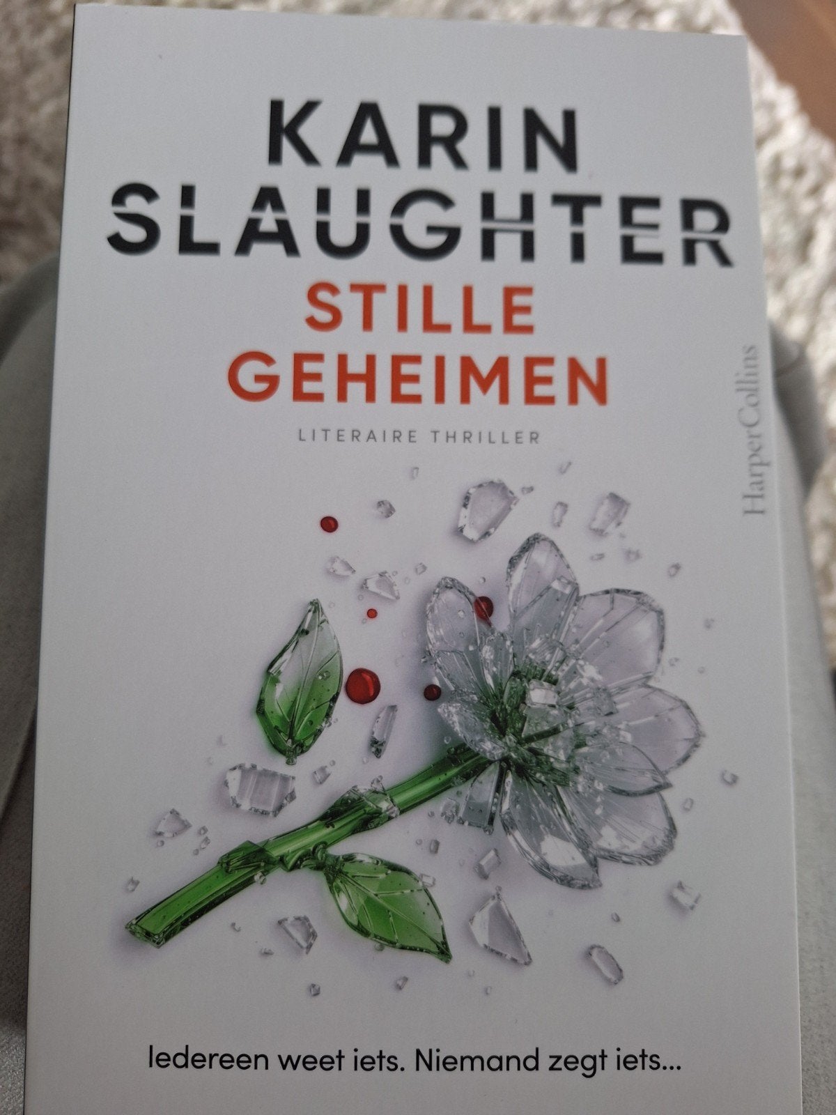 NIEUW: Stille Geheimen van Karin Slaugther, Ophalen of Verzenden, Nieuw, Karin Slaughter