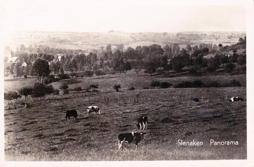 00472 Slenaken - Panorama - gel. 1950, Verzenden, 1940 tot 1960, Gelopen, Limburg
