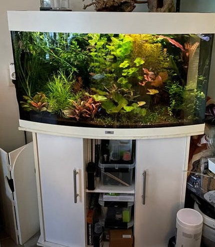 Juwel Vision 180 (leeg) met Helialux verlichting, Ophalen, Gebruikt, Leeg aquarium
