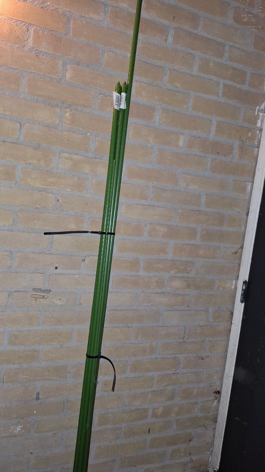 Diverse plantenstokken, Boeken, Ophalen, Zo goed als nieuw, Tuinieren en Tuinplanten