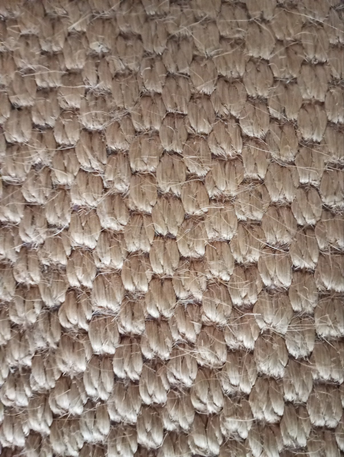 Carpet van sisal  afmetingen 240 bij 70, 200 cm of meer, Ophalen of Verzenden, Zo goed als nieuw, 200 cm of meer
