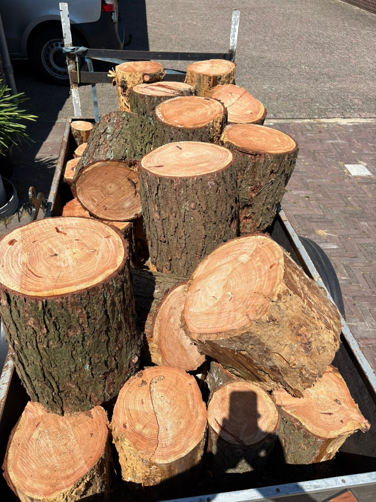 Haart hout , vuurkorf hout, Tuin en Terras, Minder dan 3 m³, Ophalen, Overige houtsoorten, Stammen