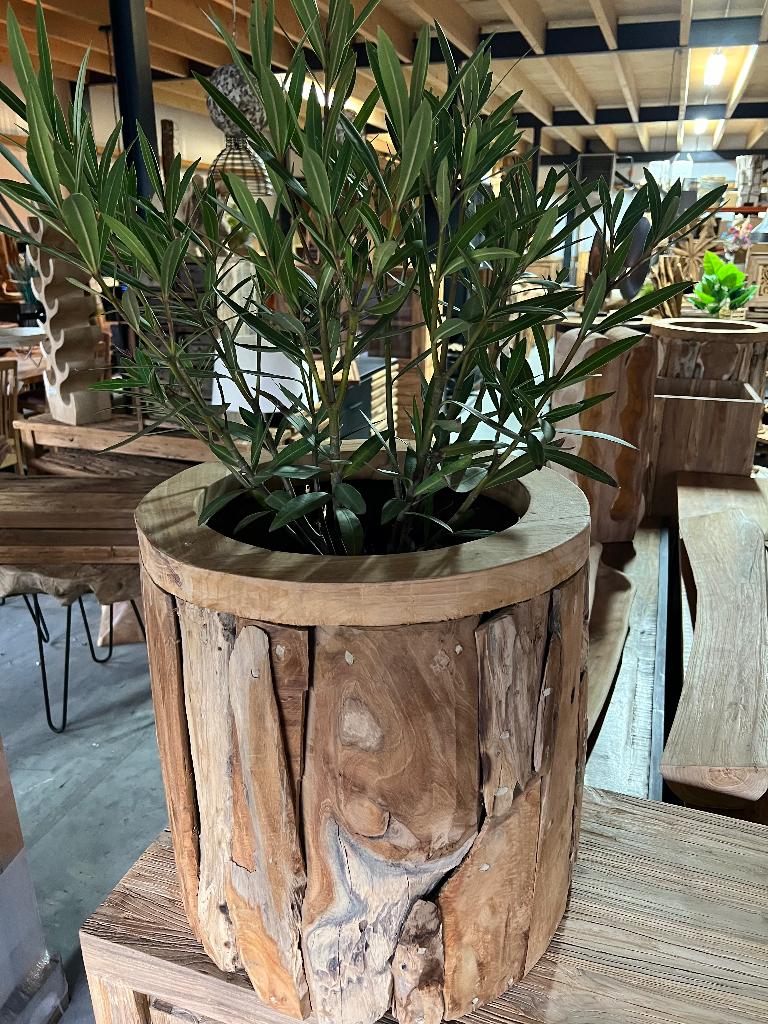Plantenbak wortelhout, Tuin en Terras, Bloempotten, Nieuw, Overige materialen, Binnen, Balkon, Tuin, 40 tot 70 cm, 40 cm of meer