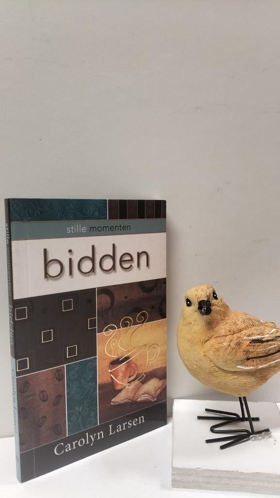 Larsen, Carolyn; Bidden : Stille momenten, Ophalen of Verzenden, Gelezen, Christendom | Protestants
