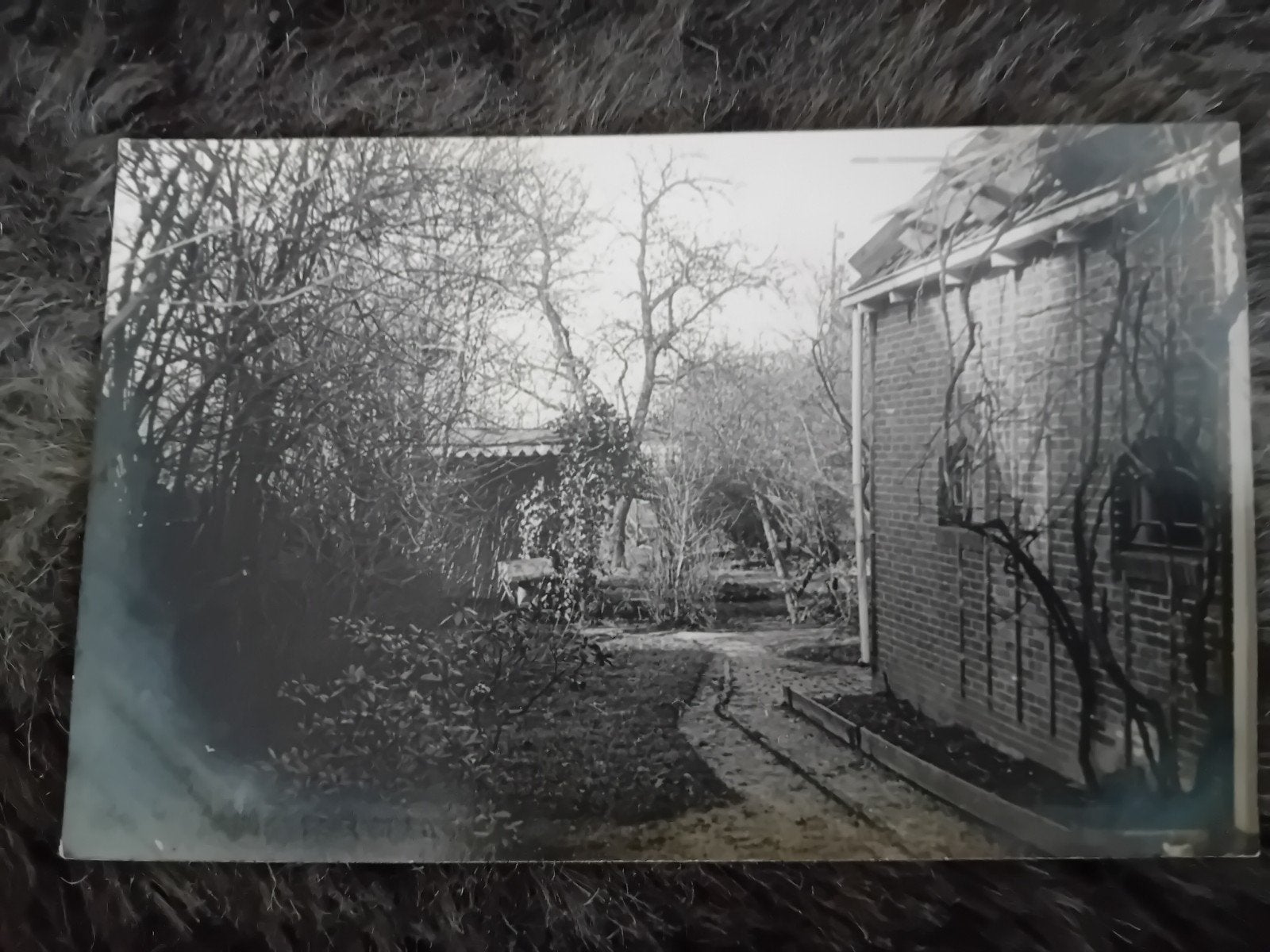Fotokaart Onbekend, Verzamelen, Ansichtkaarten | Nederland, Ophalen of Verzenden, Voor 1920, Zuid-Holland