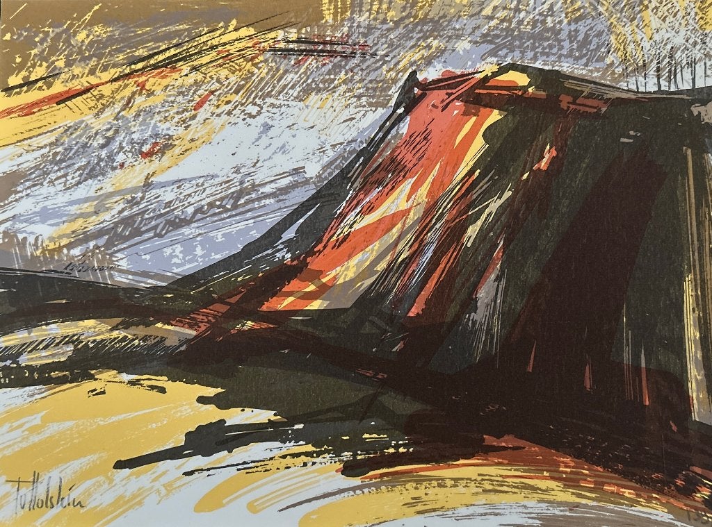 Zeefdruk Toos Holstein   ZOMEROPRUIMING, Antiek en Kunst, Kunst | Litho's en Zeefdrukken, Origineel, Ophalen of Verzenden, Zeefdruk
