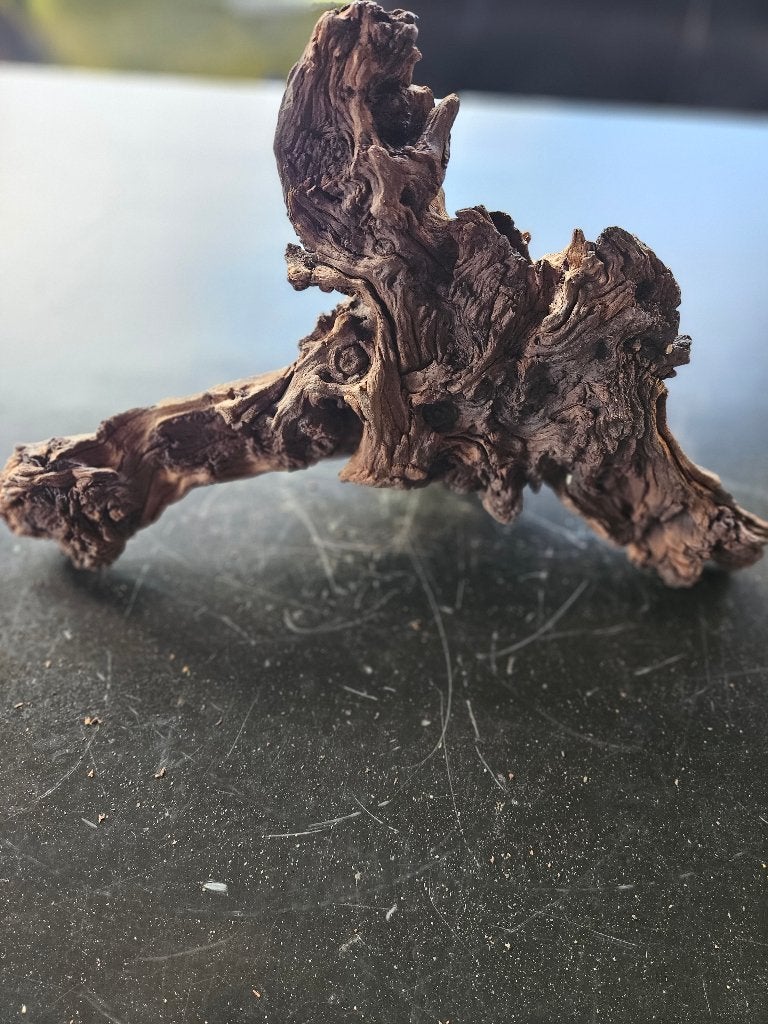 Aquarium hout, Ophalen, Zo goed als nieuw, Plant(en), Steen of Hout