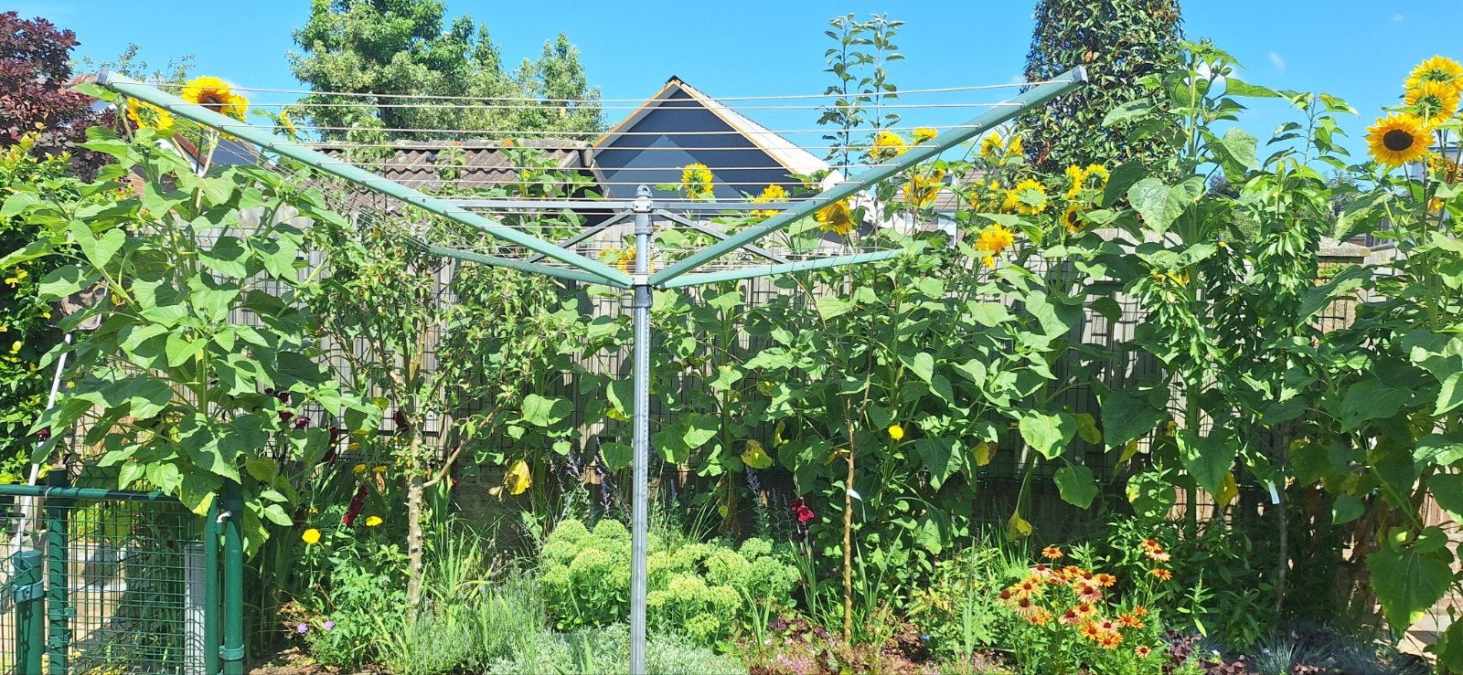 Stevige droogmolen voor buiten, Tuin en Terras, Ophalen of Verzenden