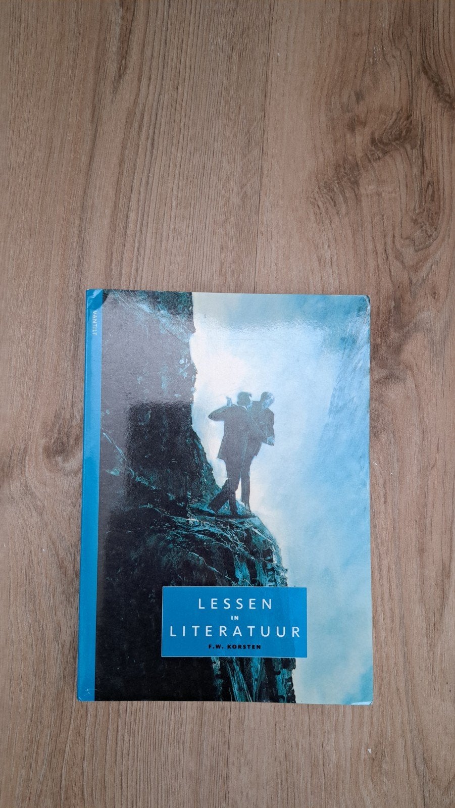 Lessen in Literatuur - F.W. Korsten, Ophalen of Verzenden, Gelezen, F.W. Korsten