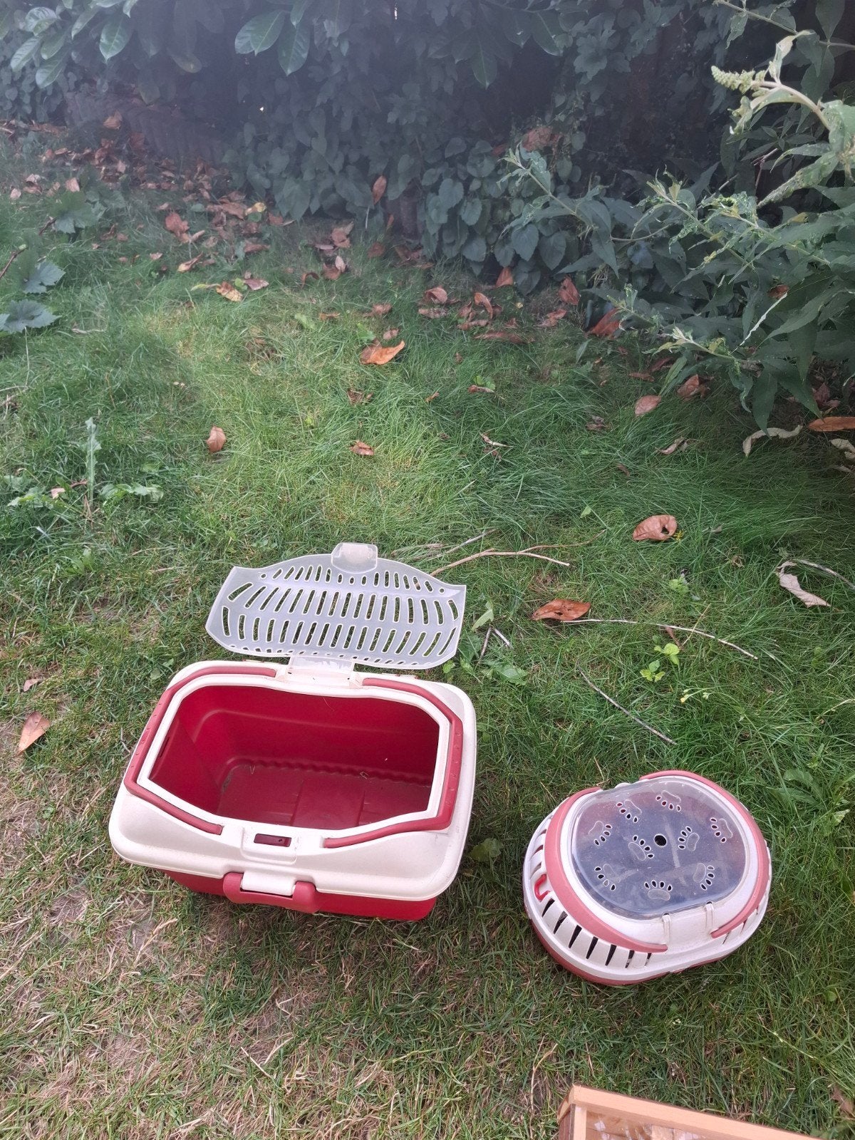 Vervoersbox knaagdieren, Dieren en Toebehoren, Ophalen