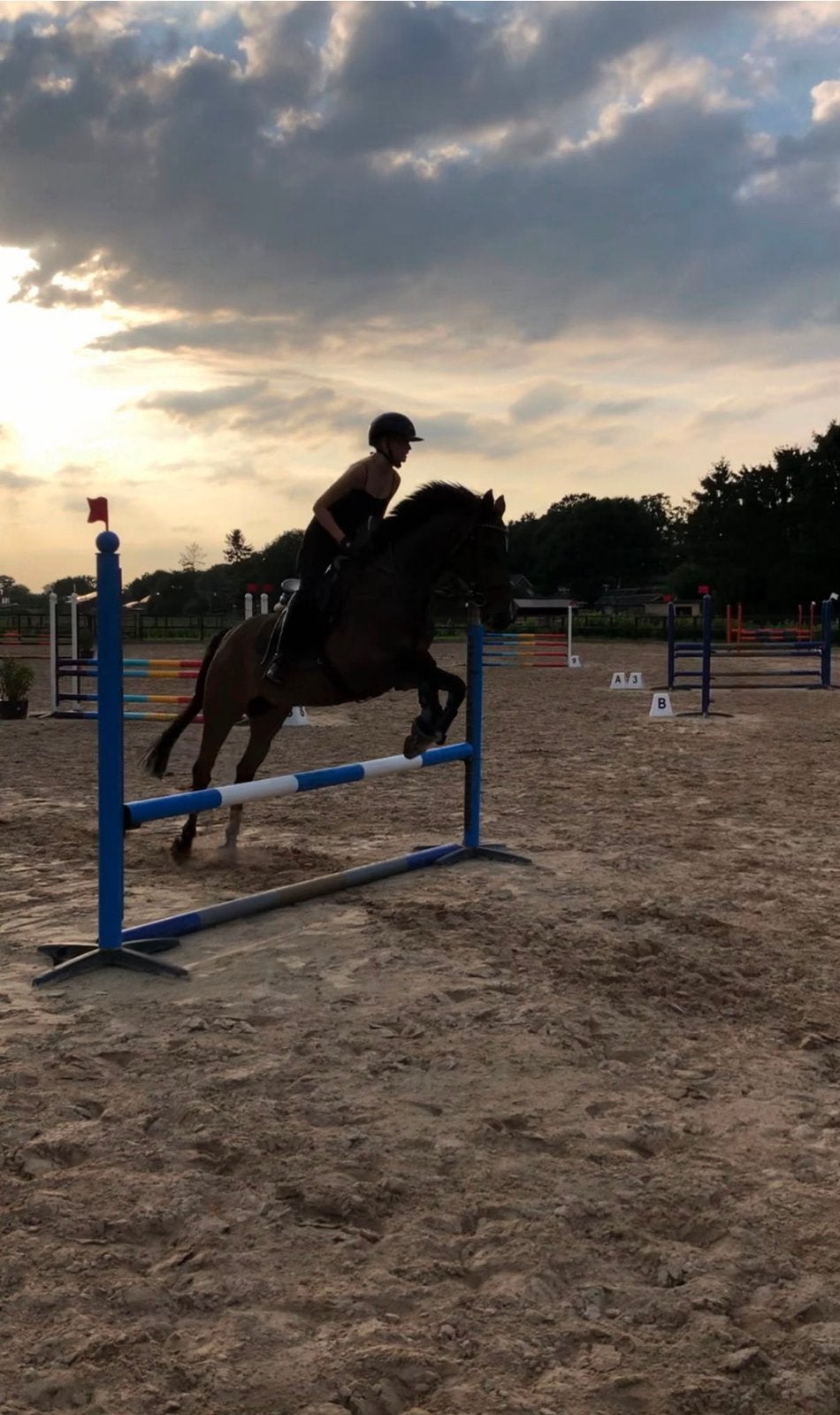 Lieve pony te koop, Dieren en Toebehoren, Paarden, Minder dan 160 cm, Ruin, Gechipt, 11 jaar of ouder