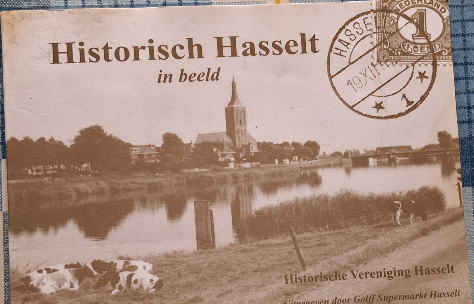 Historisch Hasselt in beeld - Fotoboek, Boeken, Ophalen of Verzenden, 20e eeuw of later, Gelezen, Historische Vereniging Hasselt