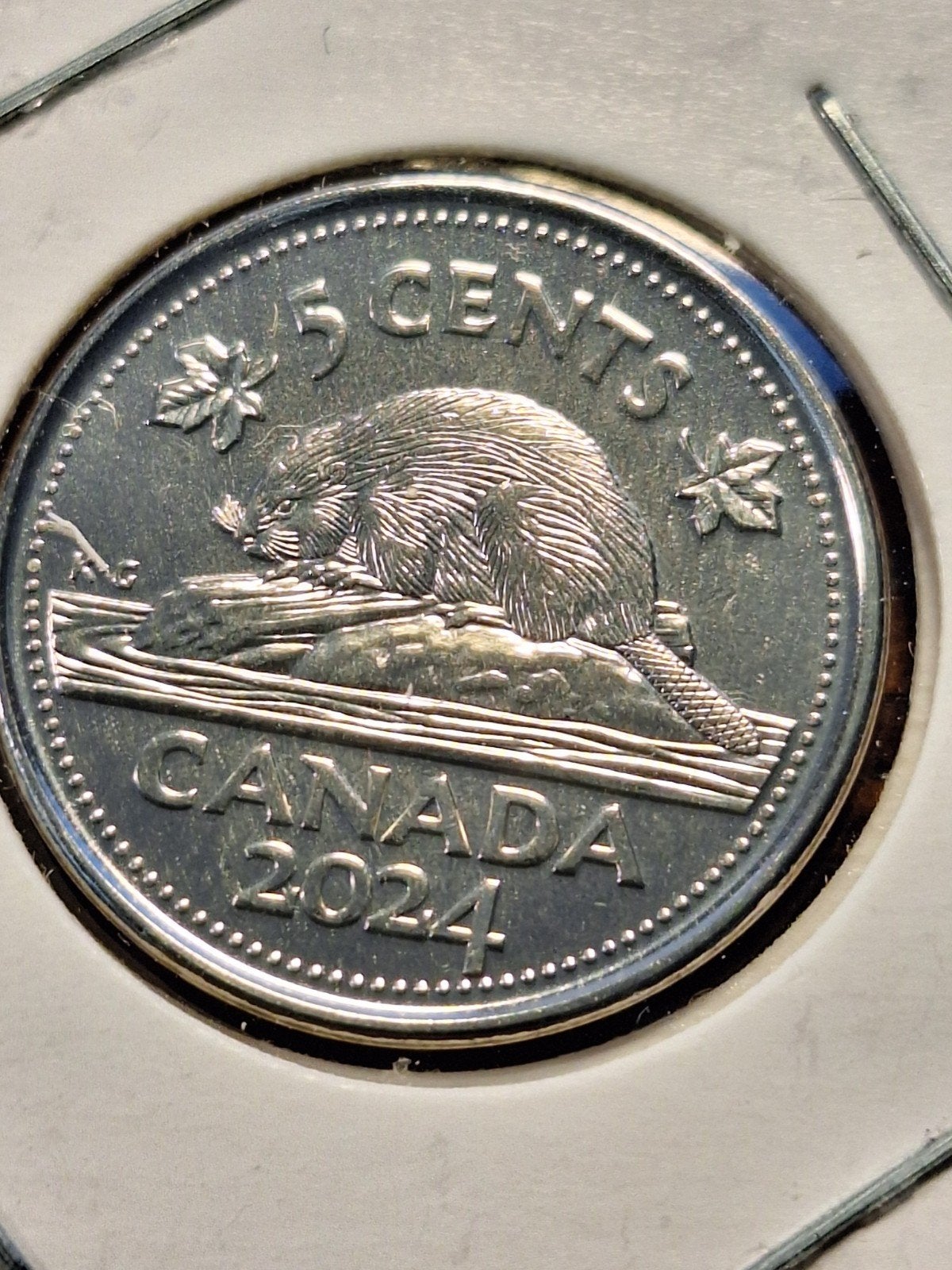Canada 5 cents 2024, Postzegels en Munten, Munten | Amerika, Ophalen of Verzenden, Noord-Amerika