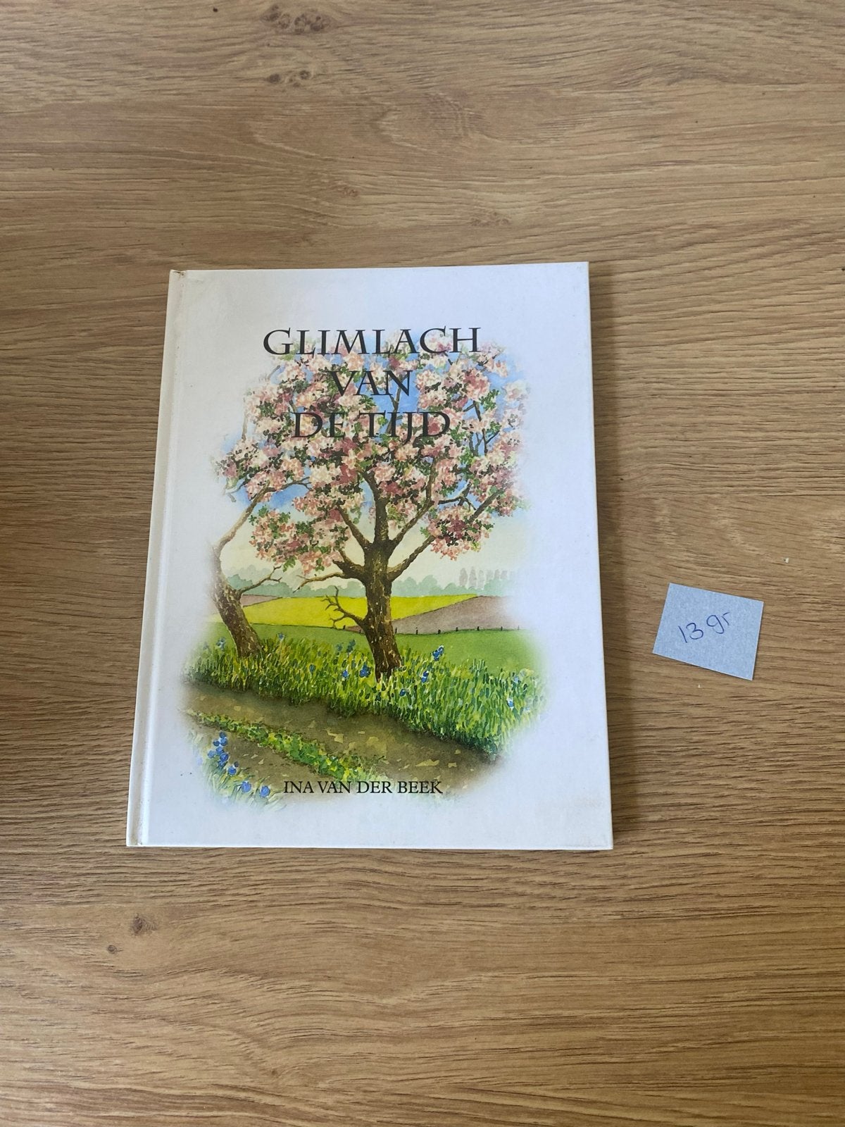 Glimlach van de Tijd - Ina van der Beek (Poëzie), Ophalen of Verzenden, Zo goed als nieuw, Eén auteur