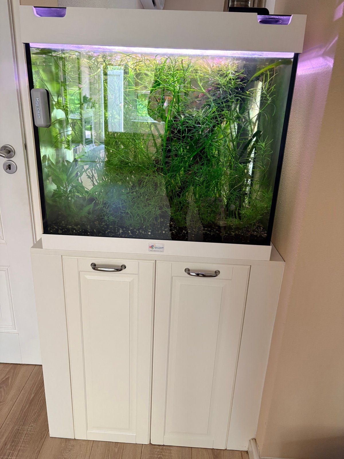 Aquarium volledig automatisch, Ophalen, Inclusief vissen, Juwel, Gevuld zoetwateraquarium