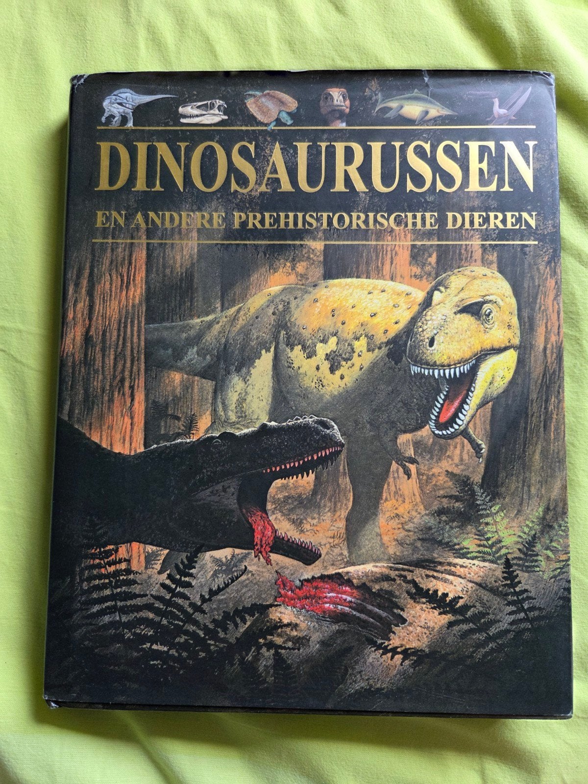 Dinosaurussen en andere prehistorische dieren, Boeken, Ophalen of Verzenden, Zo goed als nieuw, Overige onderwerpen, Onbekend