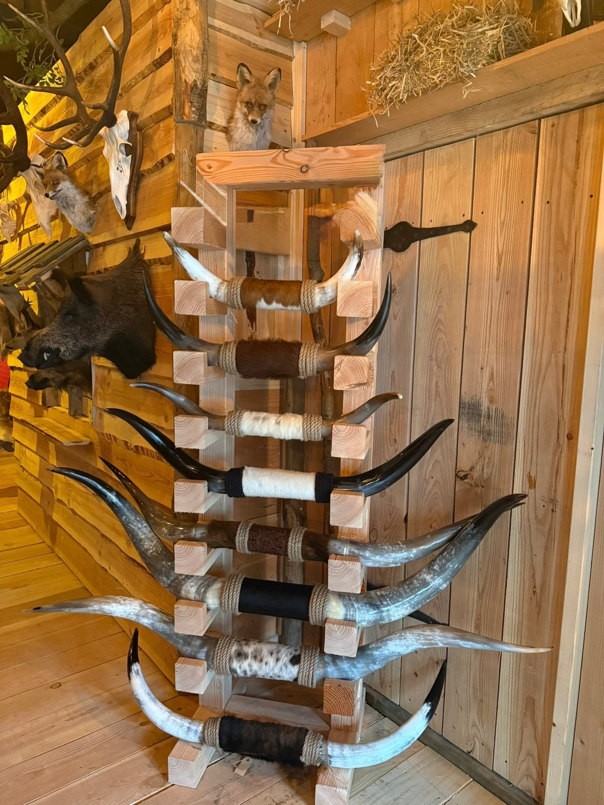Decoratieve Longhorn Hoorns Bullbar, Verzamelen, Ophalen of Verzenden, Nieuw, Overige typen
