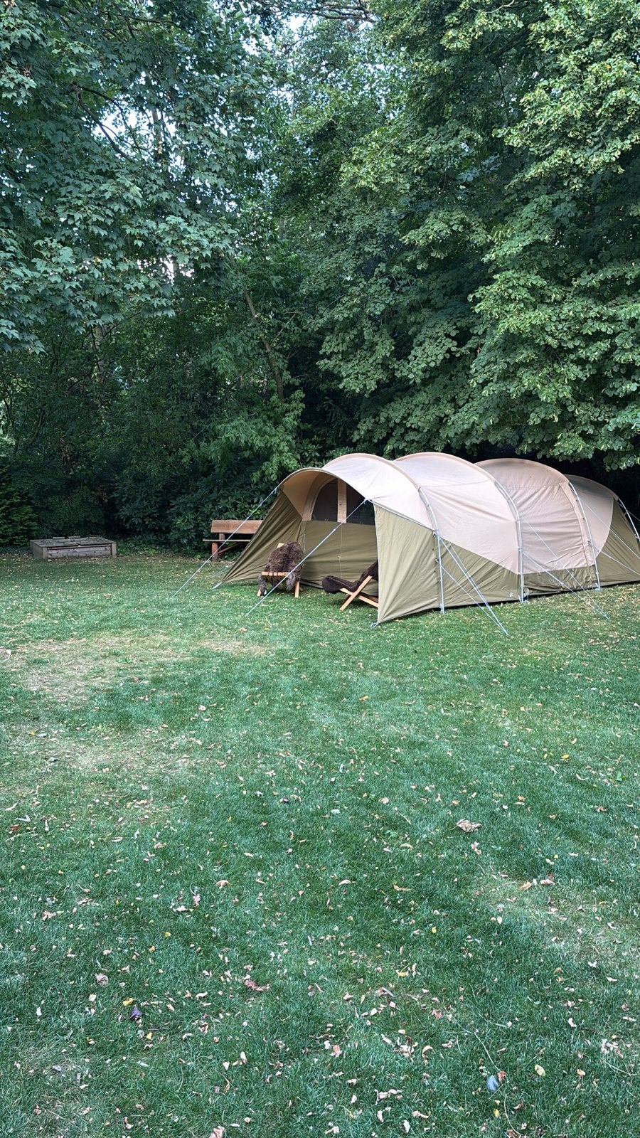 Robens tent eagle rock tc6+ 2xp  familietent, Ophalen, Zo goed als nieuw, Meer dan 6