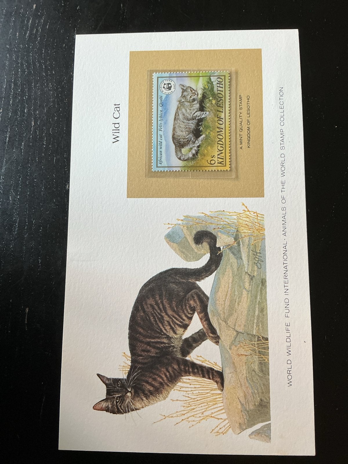 Postzegel Lesotho - Afrikaanse wilde kat (1981), Ophalen of Verzenden, Postfris, Dier of Natuur