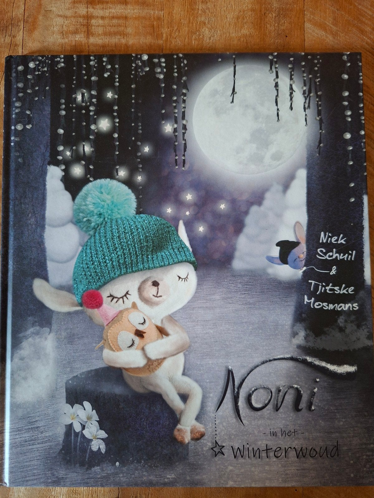 Noni in het Winterwoud - Prentenboek, Ophalen of Verzenden, Zo goed als nieuw, 3 tot 4 jaar