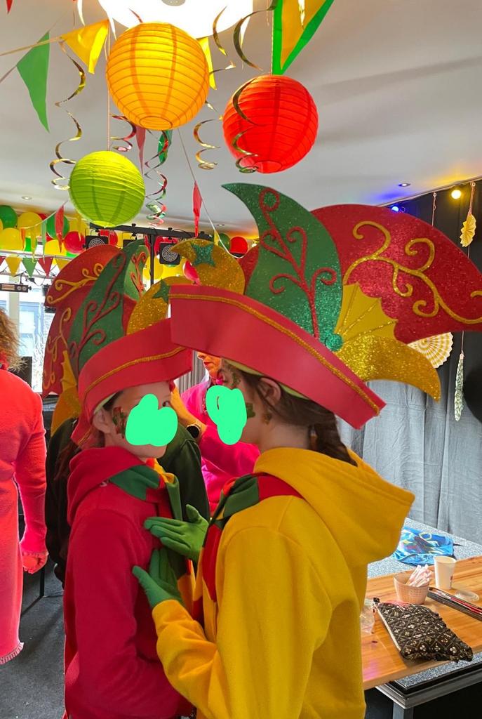 5 Carnavals Raad van Elf Kostuums - Compleet Pakket, Ophalen of Verzenden, Gebruikt, 146 t/m 152, Jongen of Meisje