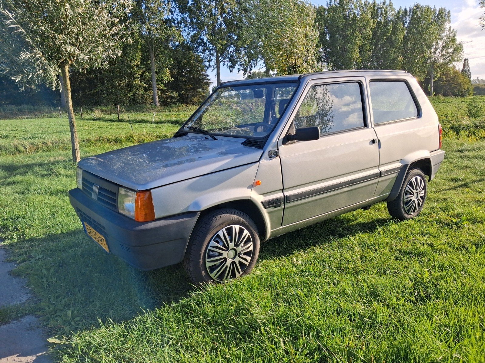 Fiat Panda 1.1 2002 Grijs, Voorwielaandrijving, 54 pk, Origineel Nederlands, Particulier