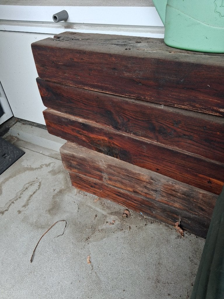schone bielsen, Tuin en Terras, Ophalen, Biels, Zo goed als nieuw, 50 cm of meer