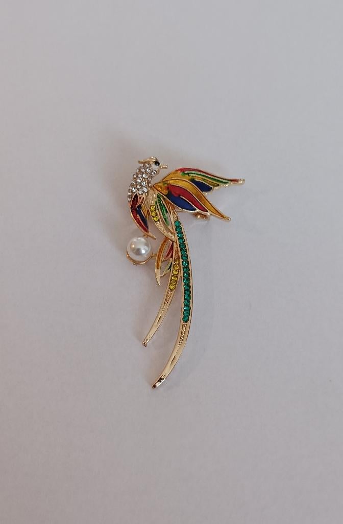 Paradijsvogel broche, Sieraden, Tassen en Uiterlijk, Broches, Overige materialen, 4 tot 7 cm, Overige kleuren, Nieuw
