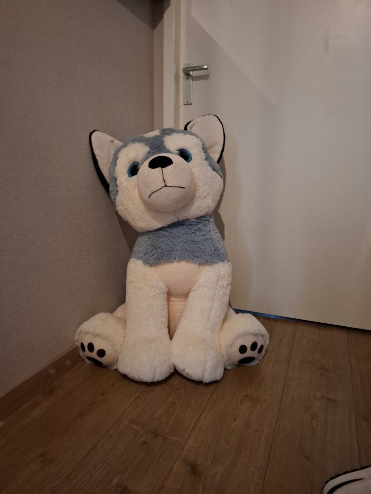 Grote knuffel husky - Zo goed als nieuw, Zo goed als nieuw, Meerkleurig, Groot (groter dan 80 cm), Hond