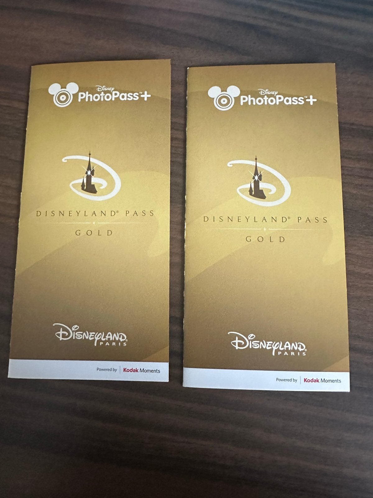 Disneyland Parijs fotopas, Ticket of Toegangskaart