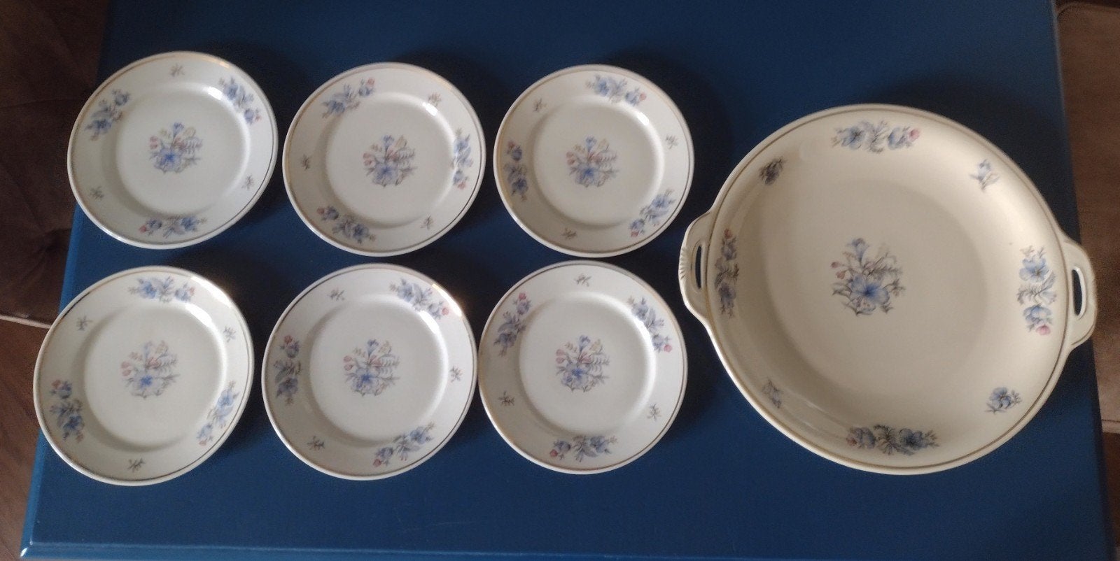 Vintage Hutschenrheuter Evelyn Gebak Set 7-Delig Porselein, Gebruikt, Overige typen, Ophalen of Verzenden, Overige stijlen