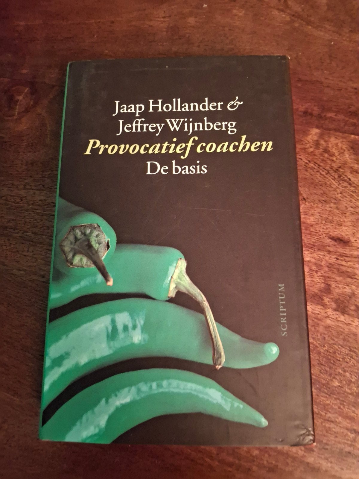 J. Wijnberg - Provocatief coachen, Ophalen of Verzenden, J. Wijnberg; J. Hollander, Ontwikkelingspsychologie, Zo goed als nieuw