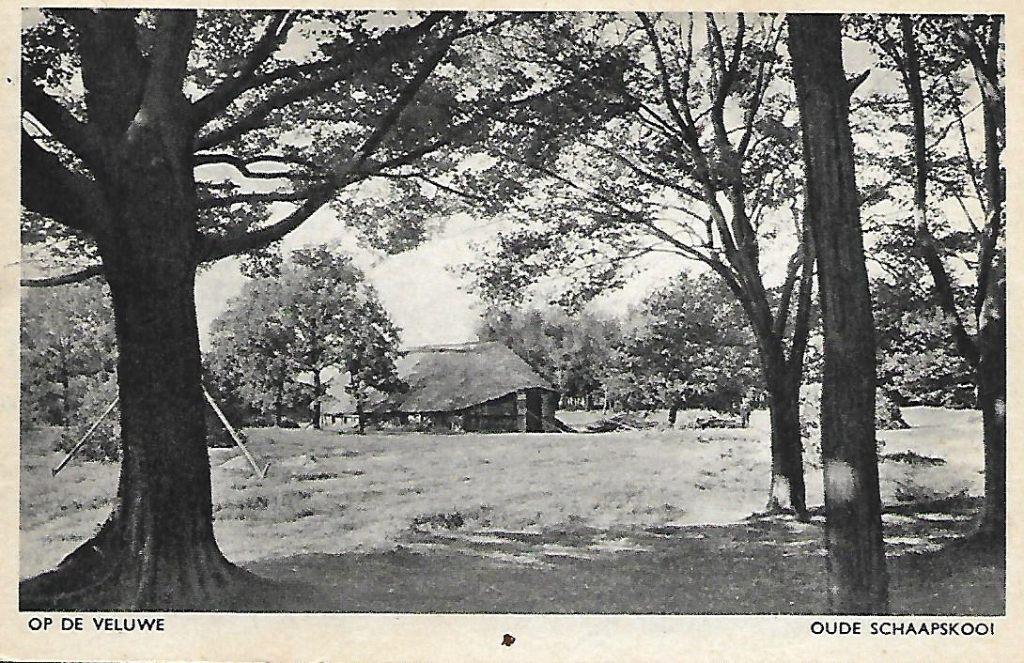 Gelderland- -Oude schaapskooi., Verzamelen, Verzenden, 1940 tot 1960, Gelopen, Gelderland