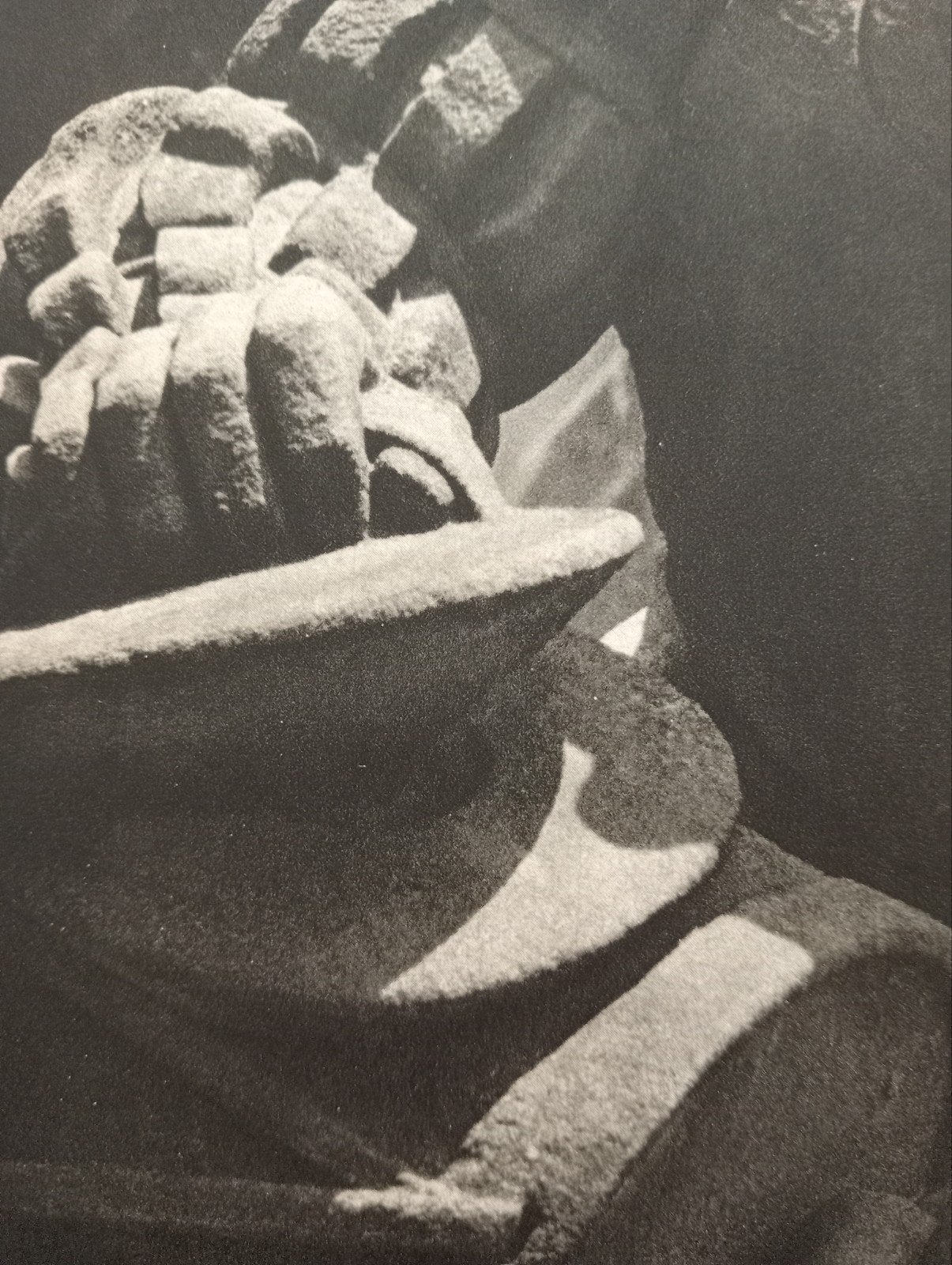 Martien Coppens fotogravure St.Janskathedraal Den Bosch, Ophalen of Verzenden