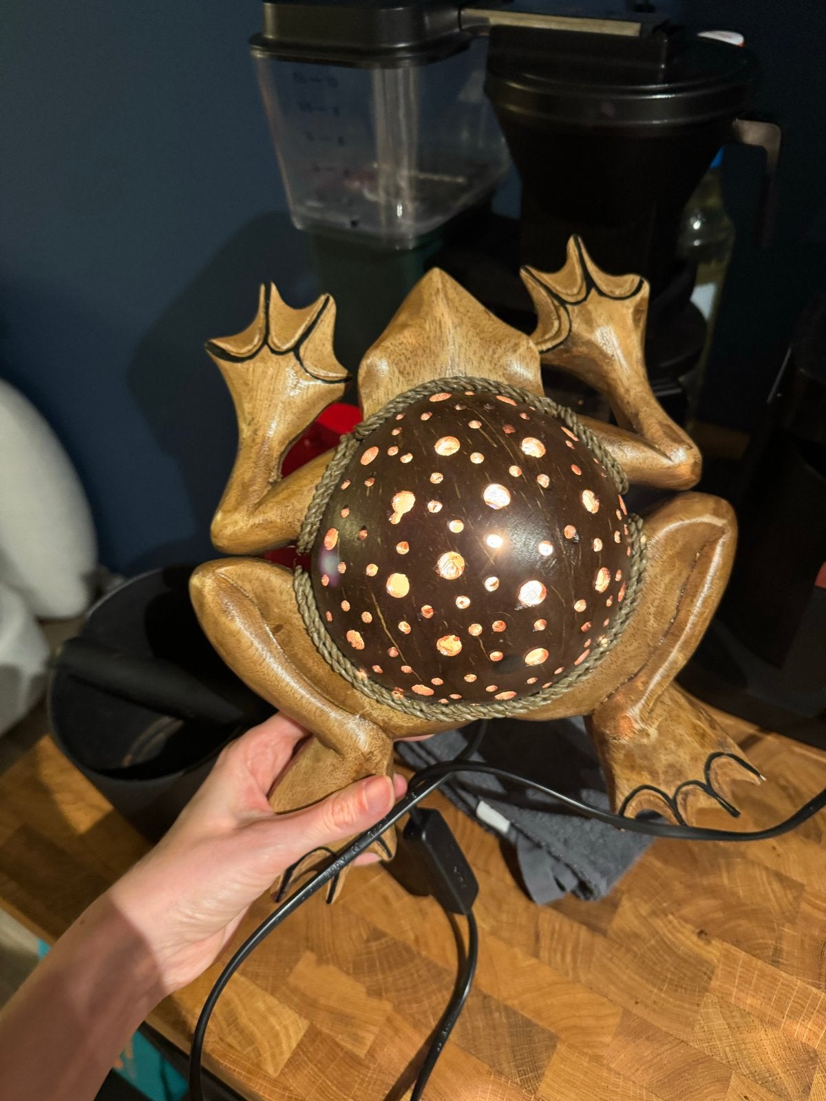 Unieke handgemaakte kikkerlamp van kokosnoot en hout, Natuurlijk materiaal, Overige fittingen, Ophalen of Verzenden, Zo goed als nieuw