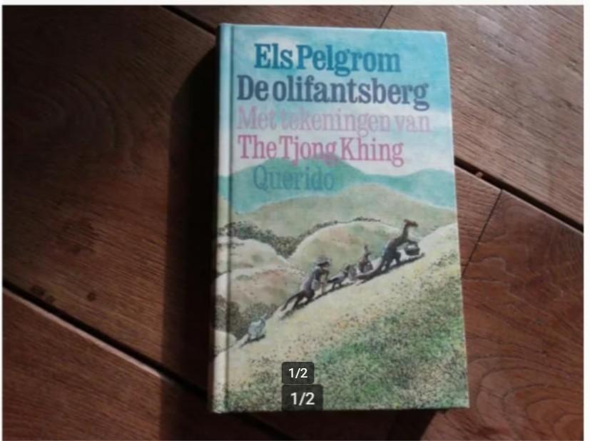 Els Pelgrom, De olifantsberg, Boeken, Ophalen of Verzenden, Zo goed als nieuw
