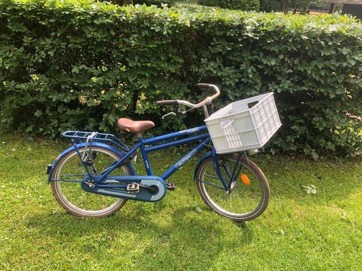 Kinderfiets 20 inch Alpina Cargo blauw, Fietsen en Brommers, Fietsen | Jongens, Ophalen, Terugtraprem, Gebruikt, Handrem