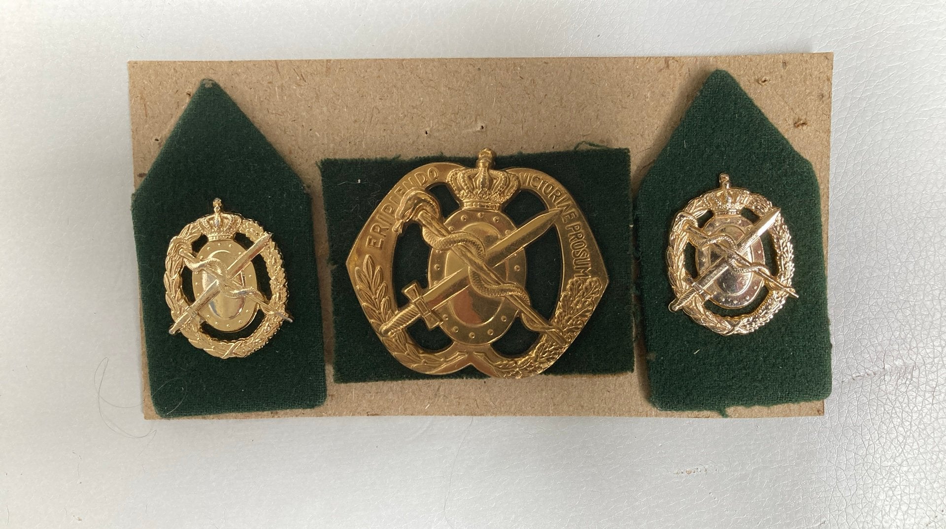 Geneeskundige Dienst, Ophalen of Verzenden, Landmacht, Nederland, Embleem of Badge