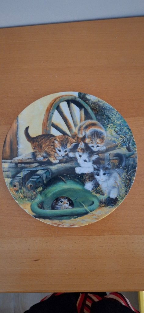 Wandbord spelende poesjes, Meerkleurig, Steen/keramiek, Ophalen of Verzenden, Nieuw