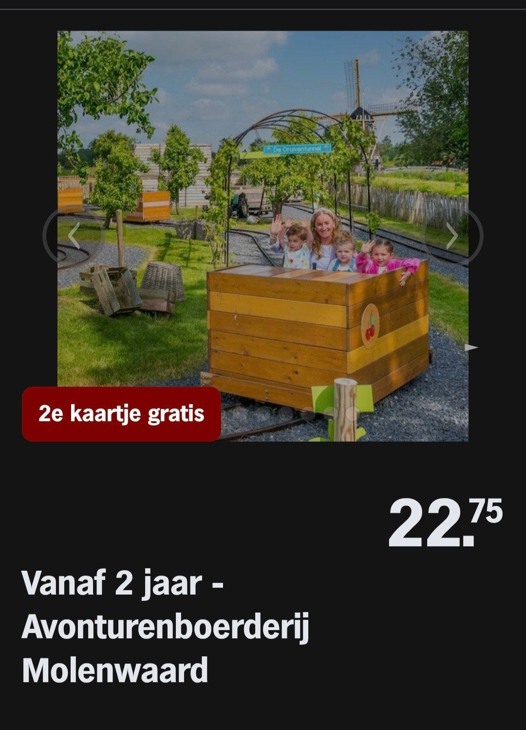 AVONTURENBOERDERIJ MOLENWAARD ♡ 2e kaartje gratis (AH actie), Overige soorten
