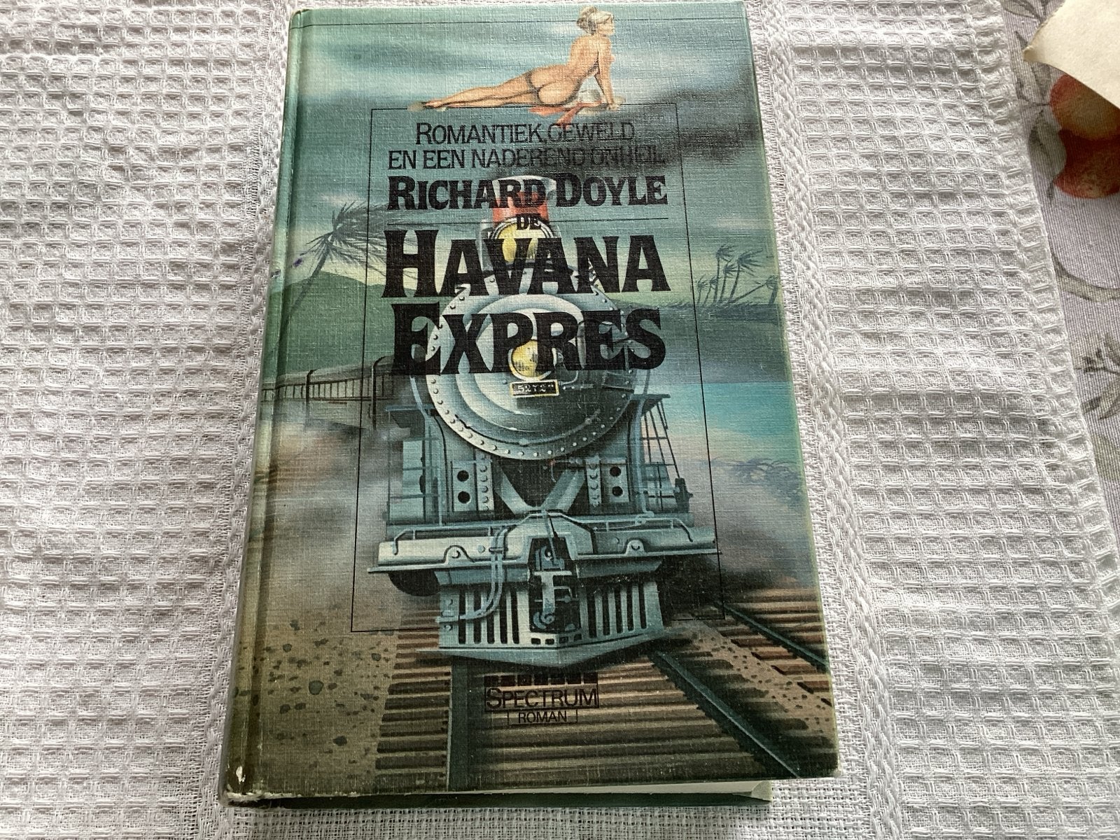 De Havana Expres - Richard Doyle (Spectrum Roman), Ophalen of Verzenden, Gelezen, Amerika