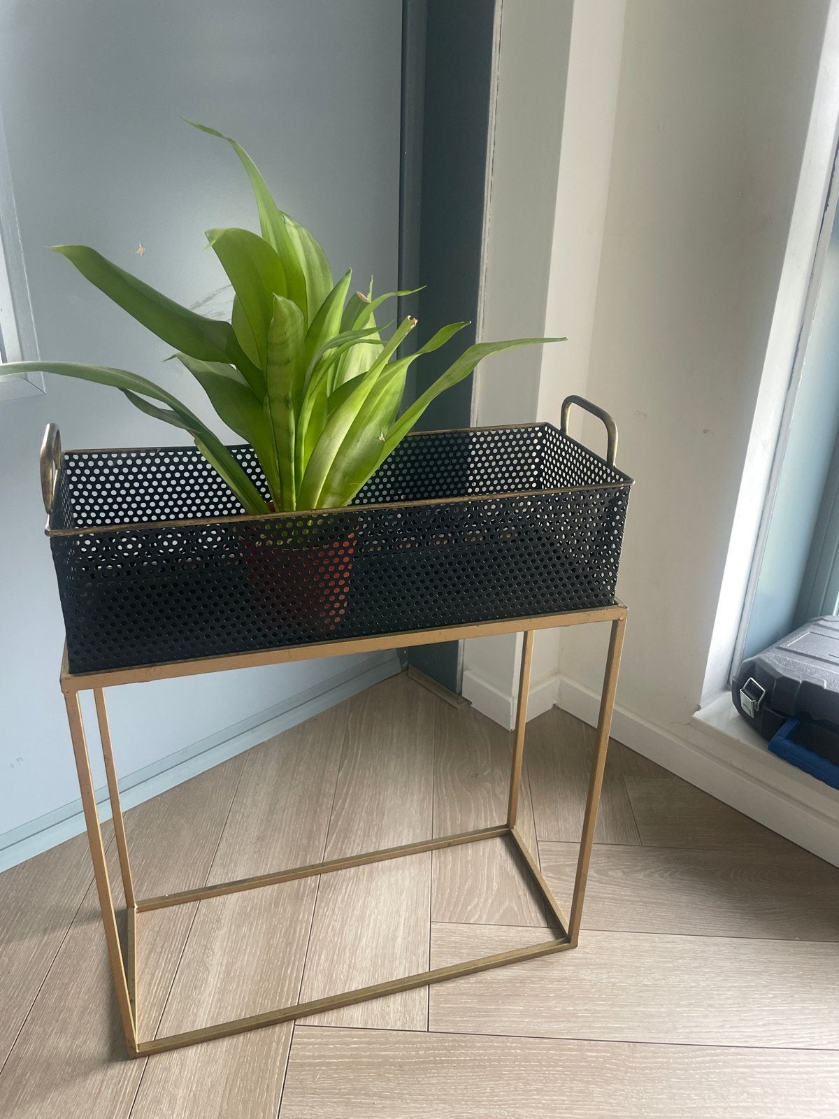 Stijlvolle plantenbak met gouden onderstel, Ophalen, Zwart, Zo goed als nieuw, Metaal