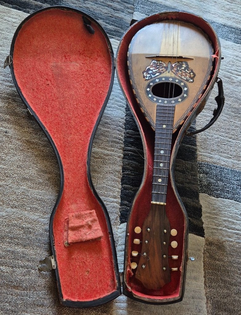 Prachtige antieke mandoline in originele houten koffer., Muziek en Instrumenten, Snaarinstrumenten | Mandolines, Ophalen of Verzenden