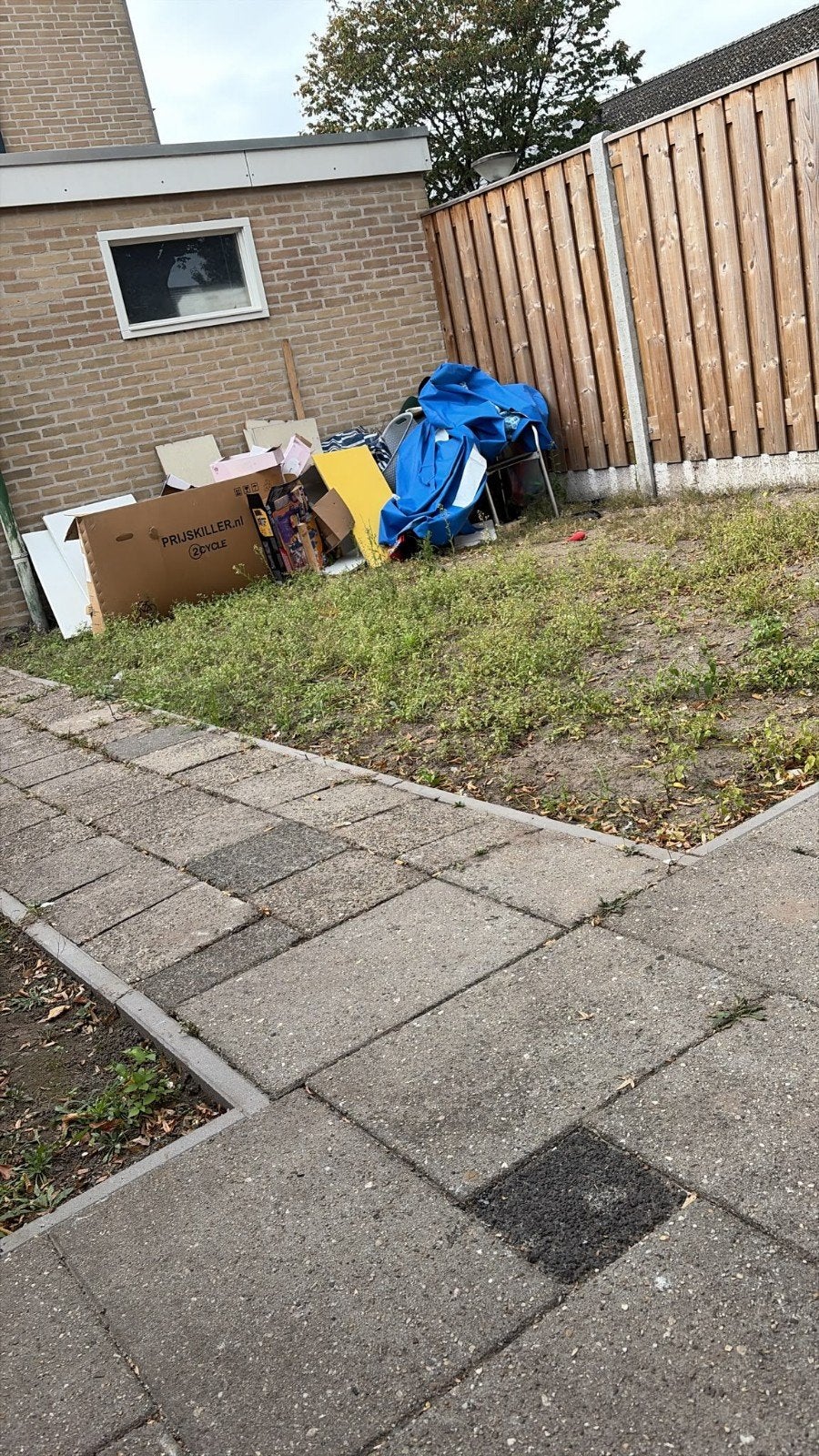 WIJ DOEN STORT RIJDEN, Ophalen of Verzenden